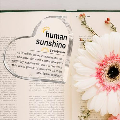 Human Sunshine Motivational Gift for Women Men, Employee Appreciation - color: Human Sunshine