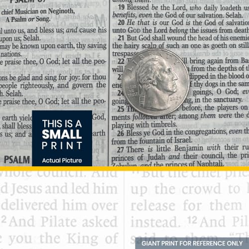 Personalized KJV Small Print Bible for Adult, Name Engraved, Standard Size - color: Taupe
