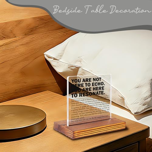 Inspirational Office Desk Sign for Coworker Employee Friend, You Are Here to Resonate Motivational Acrylic Plaque, Positive Mindset Decor Gift for Women Men EC421 - style: Coworker Employee Friend