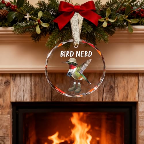 Funny Bird Watching Gifts - Hummingbird Sun Catchers Indoor Window, Humming Bird Suncatchers for Windows Hanging, Unique Cool Briding Gift for Mothers Day, House Warming Gifts New Apartment - color: Blgs013