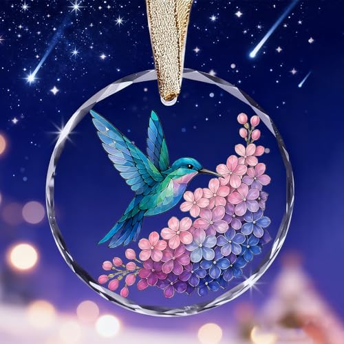 Glass Hummingbird Ornament for Christmas Tree - Clear Humming Bird Christmas Ornament 2026, Hummingbird Gifts for Women Unique, Birds Lover Gift - color: Blgs009