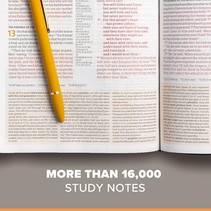 CSB Study Bible, Brown Genuine Leather, Red Letter, Study Notes and Commentary, Illustrations, Articles, Word Studies, Outlines, Timelines, Easy-to-Read Bible Serif Type