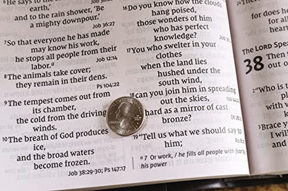 NIV, Super Giant Print Reference Bible (Font Size: 16.5-point), Leathersoft, Gray, Red Letter, Thumb Indexed, Comfort Print
