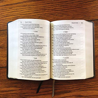 NIV, Giant Print Compact Bible, Leathersoft, Black, Red Letter, Comfort Print