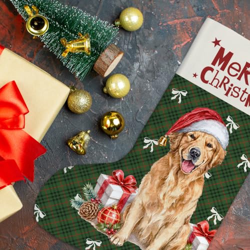 Golden Retriever Green Plaid Christmas Stockings 16 Inch - color: Christmas12