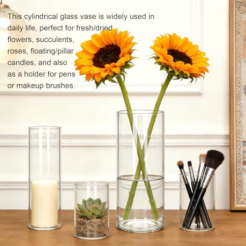 Glass Cylinder Vase,10 Pack Glass Vases,Hurricane Floating Candle - size: Smooth Set-10PCS