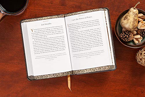 I Hear His Whisper: Encounter God's Heart for You, 365 Daily Devotions (The Passion Translation) (Imitation Leather) – Daily Messages of God's Love, Perfect Gift for Friends, Family, Birthdays, Holidays, and More.