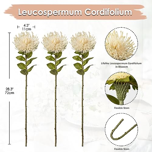 Hollyone 3 Pcs White Artificial Spider Mum 28.3'' Long Stem Fake Chrysanthemum Flowers Leucospermum Cordifolium Arrangement Faux Pincushion Flowers Office Table Bouquet Home Decor - color: White