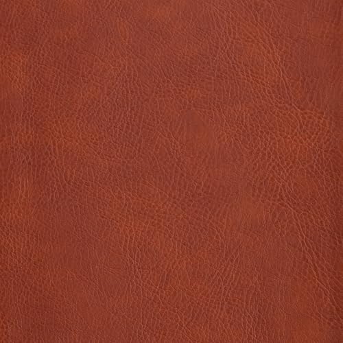 CSB Study Bible, Personal Size, Digital Study Edition, Burnt Sienna LeatherTouch, Red Letter, Study Notes and Commentary, Illustrations, Articles, Word Studies, Outlines, Timelines