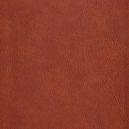 CSB Study Bible, Personal Size, Digital Study Edition, Burnt Sienna LeatherTouch, Red Letter, Study Notes and Commentary, Illustrations, Articles, Word Studies, Outlines, Timelines