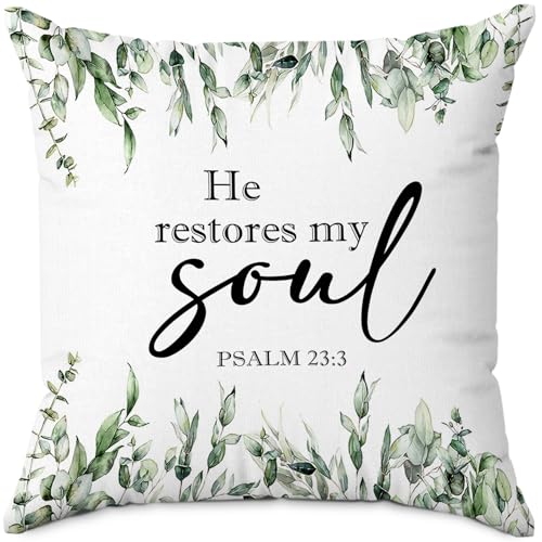 Christian Botanical Pillow Cover 18x18, Bible Verse He Restores My Soul Throw Pillow Cover, Christian Home Room Decor, Religious Decorative Pillowcase for Couch Bed Home Bedroom Decor - color: Soul