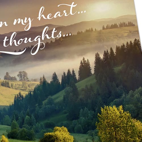 Hallmark DaySpring Religious Encouragement Cards, 12-Pack (Praying for You) - style: Encouragement