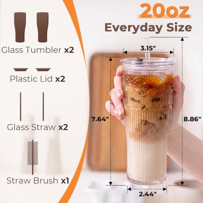 GOSCHE 20 oz Iced Coffee Cups with Lids, Glass Cups with Lids and Straws, Borosilicate Glass Tumbler for Coffee,Tea and Water, 2 Pack, Daisy