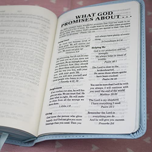 ICB, Really Woolly Holy Bible for Toddlers, Pink Leathersoft: International Children's Bible – Helping Little Hearts Grow in God's Love