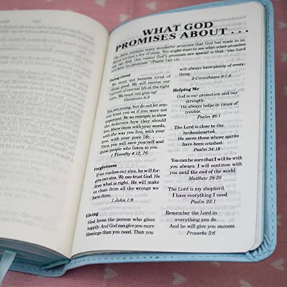 ICB, Really Woolly Holy Bible for Toddlers, Pink Leathersoft: International Children's Bible – Helping Little Hearts Grow in God's Love