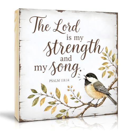 TOUNER The Lord Is My Strength And My Song Wooden Box Sign, Chickadee Bird Wooden Sign for Home Office Bedroom Desk Shelf Decorations, Inspirational Quote Gifts for Friends Family Colleague - color: multicolored082