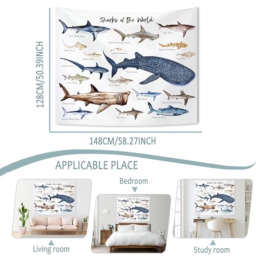KAIOUS Shark Wall Hanging Tapestry for Kids, 50x58 - color: Shark, size: 58"L x 50"W