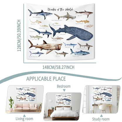 KAIOUS Shark Wall Hanging Tapestry for Kids, 50x58 - color: Shark, size: 58"L x 50"W