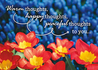 Lift Your Spirits - NIV Scripture Greeting Cards - Get Well - (Box of 12)