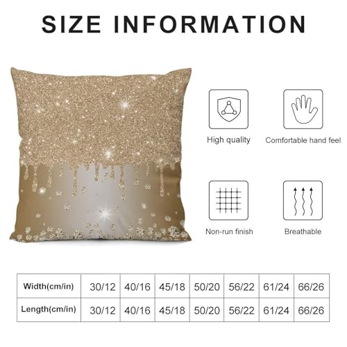Champagne Gold Throw Pillow Cover Glitter Diamond Sparkle Shimmer Bling Sparkly Couch Pillowcases Luxury Colorful Shiny Modern (No Glitter) Sofa Pillows Cushion Case for Bed Chair 18x18inch - color: Diamondblack-1