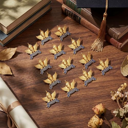 Knitgrip Award Lapel Pins Bulk Academic Recognition Enamel Pins Honors Gift for Student Office Government Club Members - style: Leadership