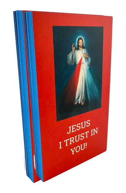 Divine Mercy Holy Cards Bulk Bundle Prayer Pack for School Set of 25