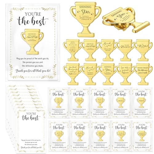 60 Sets Employee Appreciation Gifts Bulk, Trophy Pins,10 Styles - style: 10 Styles