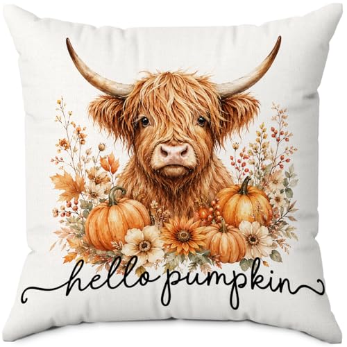 Hello Pumpkin Fall Highland Cow Floral Throw Pillow Covers 18x18 - color: Cow