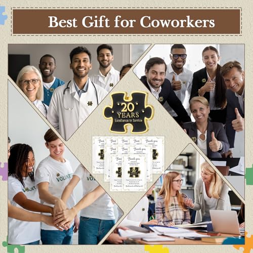 20 Set Year of Service Pin Employee Appreciation Gifts Bulk - style: 20 Year