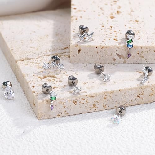 Limerencia Titanium Flat Back Screw Back Stud Earrings for Women Men - color: Silver 9