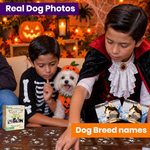Menique Dogs Memory Matching Game for Kids – 80 Bilingual Cards, 40 Pairs with Real Dog Breed Photos – Educational Family Card Game for Ages 3+ - style: Dogs
