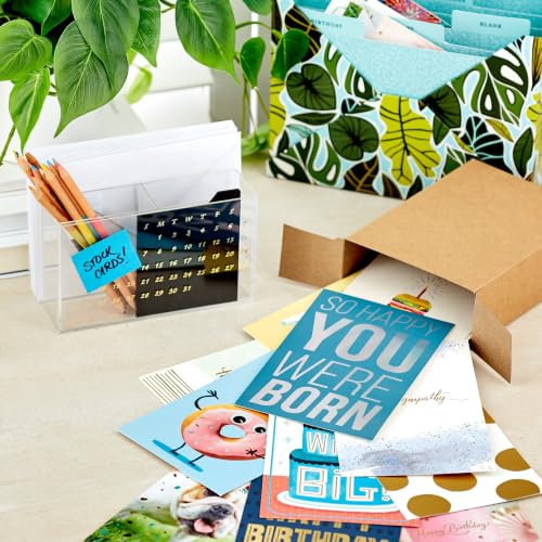 Hallmark All Occasion Cards, Assorted 48-Pack (Birthday, Thank You, Baby)