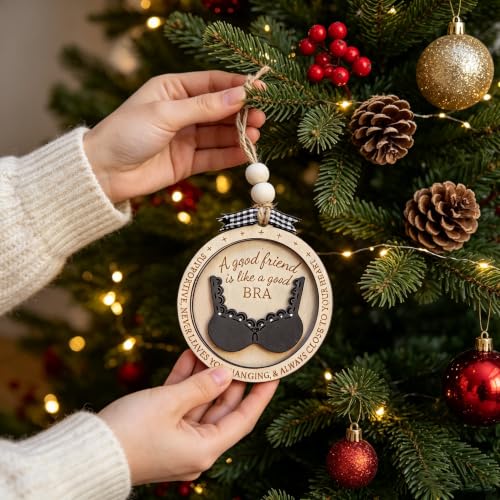 Funny Best Friend Christmas Ornament with Bra & Underwear Pun Design - color: Multi Color