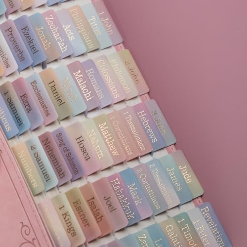 UPAFEXXI-Laminated Bible Tabs with Book Summaries(Rainbow) - color: Summaries Rainbow