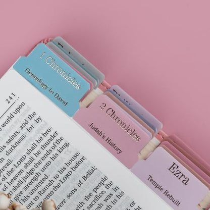 UPAFEXXI-Laminated Bible Tabs with Book Summaries - color: Summaries Morandi