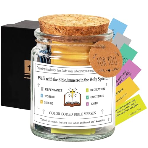Bible Verses in a Jar, Bible Verse Jar Emotions and Feelings, Bible Prayer Cards Hope, Christmas Bible Study Church Christian Xmas Gift for Women, Men, Mom, Dad, Friends - style: B