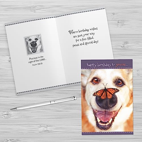 Faithfully Yours Designer Greetings Cute Birthday Boxed Card 12 Pack