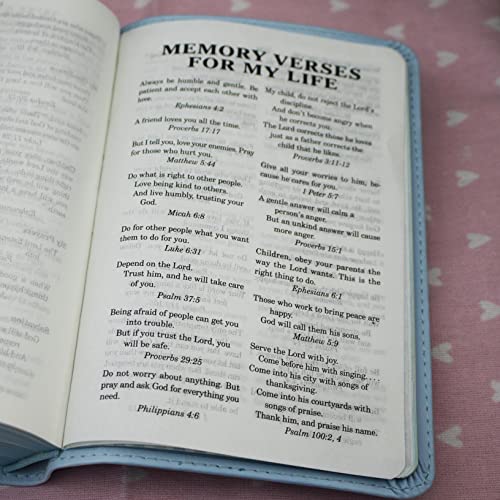 ICB, Really Woolly Holy Bible for Toddlers, Pink Leathersoft: International Children's Bible – Helping Little Hearts Grow in God's Love