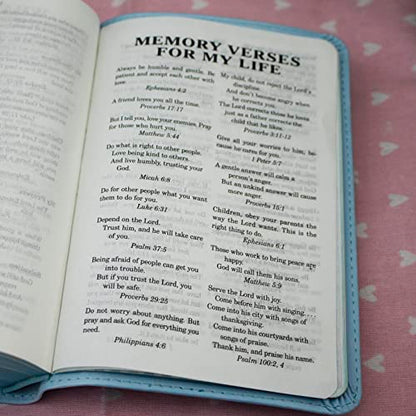 ICB, Really Woolly Holy Bible for Toddlers, Pink Leathersoft: International Children's Bible – Helping Little Hearts Grow in God's Love