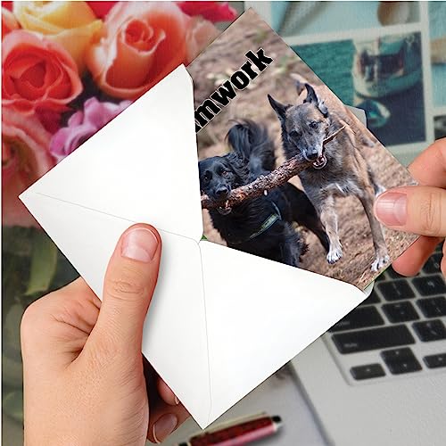 Best Card Co 1 Teamwork Thank You Greeting Card Colorful Dog C3189FTYG - style: Teamwork