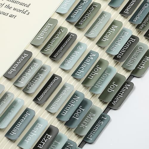 Mr. Pen- Bible Tabs, 75 Tabs, Frozen Lake Theme - color: Frozen Lake