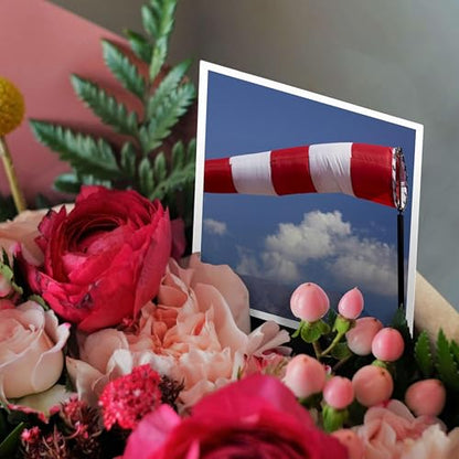 3dRose Wind Sock, Aviation, Vitacura 12 Greeting Cards with envelopes