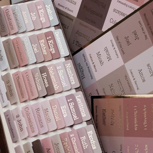 UPAFEXXI-Laminated Bible Tabs with Book Summaries - color: Summaries Earth Tone