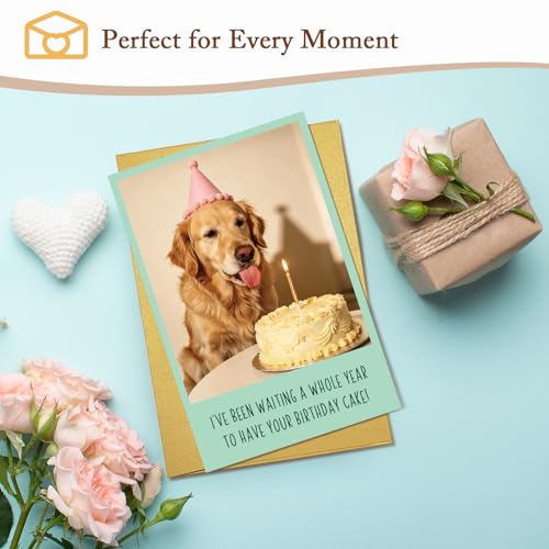 Qiliji Funny Dog Birthday Card for Him Her, Humor Bday Card for Dog Lover, Bday Cards from Dogs, Waiting A Whole Year to Have Your Birthday Cake - color: Dog Birthday