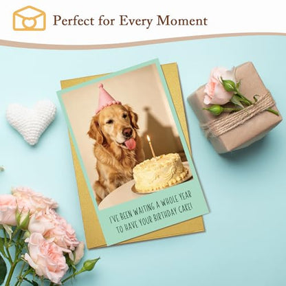 Qiliji Funny Dog Birthday Card for Him Her, Humor Bday Card for Dog Lover, Bday Cards from Dogs, Waiting A Whole Year to Have Your Birthday Cake - color: Dog Birthday