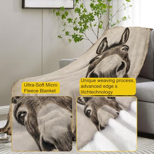 Funny Donkey Blanket Gifts for Women Kids - color: Donkey, size: 50"x60"