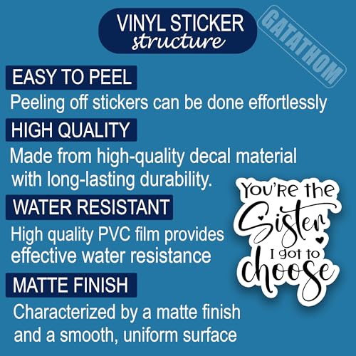 (3Pcs) You’re The Sister I Got to Choose Sticker – Best Friend Quote Stickers for Sisters Besties Friendship Soul Sister in Law, Waterproof Vinyl Decals for Laptop Water Bottle Scrapbook, 3" x 2.5" - color: You're the Sister I Got to Choose