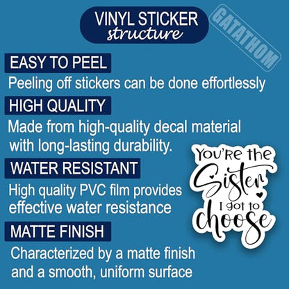 (3Pcs) You’re The Sister I Got to Choose Sticker – Best Friend Quote Stickers for Sisters Besties Friendship Soul Sister in Law, Waterproof Vinyl Decals for Laptop Water Bottle Scrapbook, 3" x 2.5" - color: You're the Sister I Got to Choose