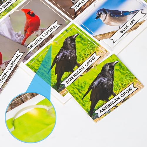 Assistex Matching Game Activity Board - Dementia Activities for Seniors - Memory Games for Adults with Alzheimers - Memory Loss and Alzheimers Activities - Matching Card Memory Games for Seniors - style: Nature Edition