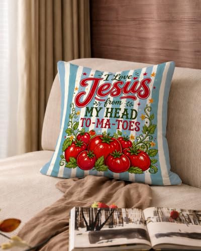 Preppy Blue Striped Christmas Tomato Pillow Cover 18x18 - color: Blue Striped
